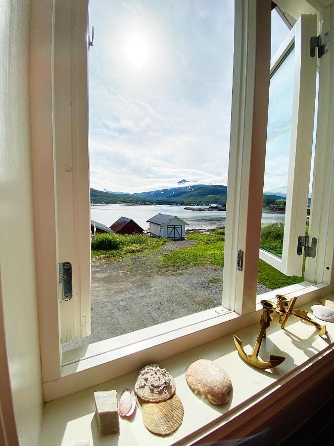 Apartament Visit Leif At Senja Gibostad Zewnętrze zdjęcie