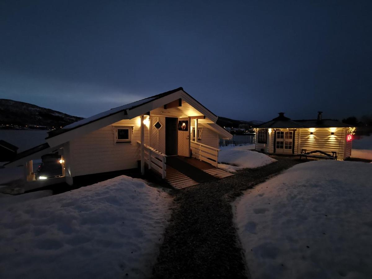 Apartament Visit Leif At Senja Gibostad Zewnętrze zdjęcie
